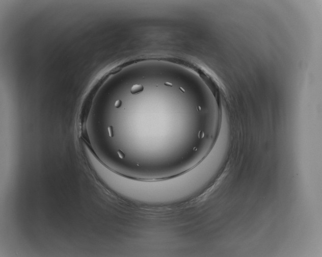 X0000112431461200908211151