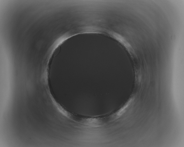 X0000112431463200908211151