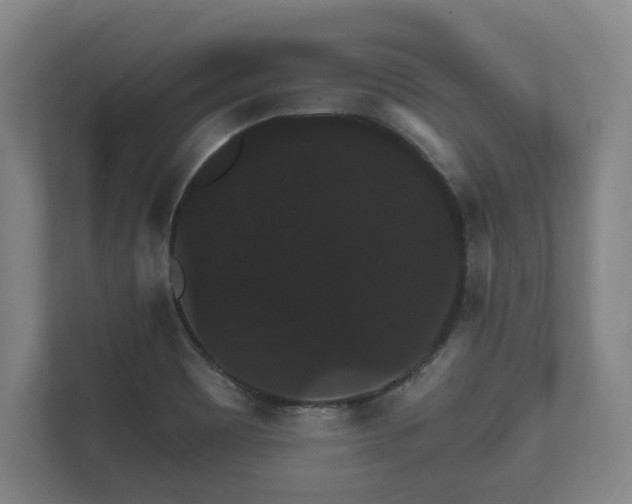 X0000112431465200908211151
