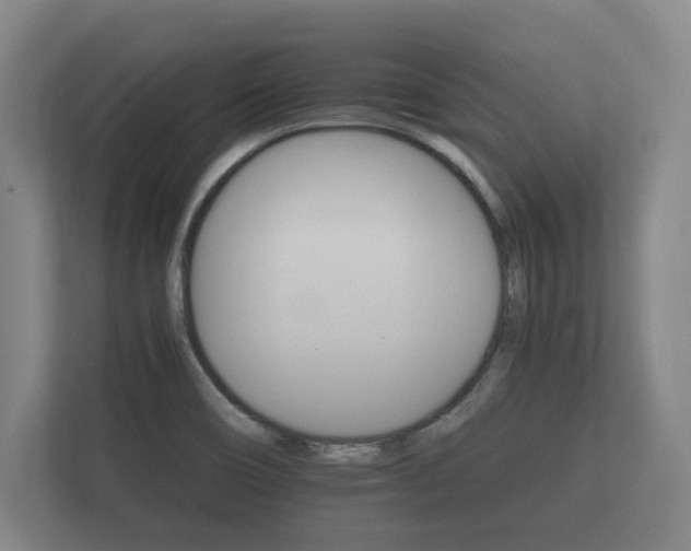 X0000112431466200908211151