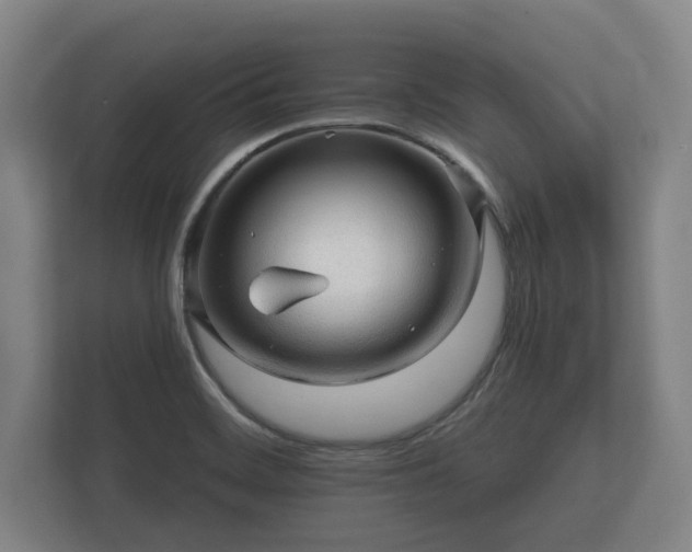 X0000112431468200908211150