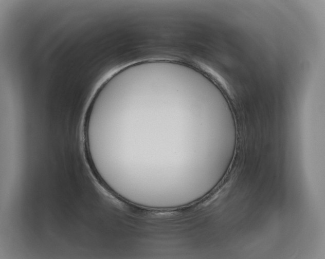 X0000112431471200908211150