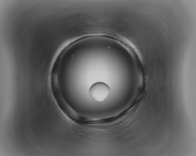 X0000112431472200908211150