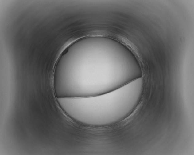 X0000112431473200908211150