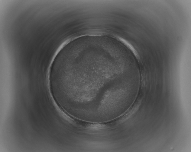 X0000112431475200908211150