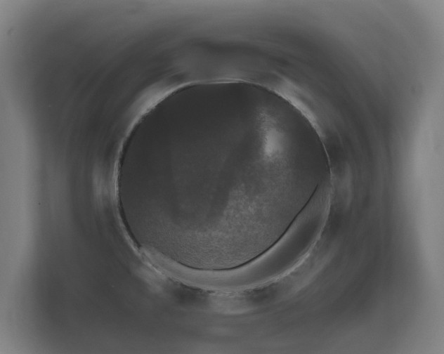 X0000112431477200908211150
