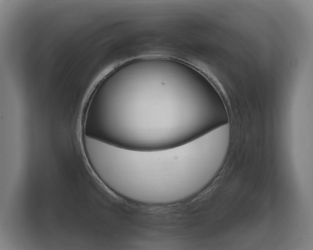 X0000112431480200908211150