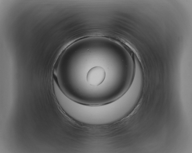 X0000112431481200908211150