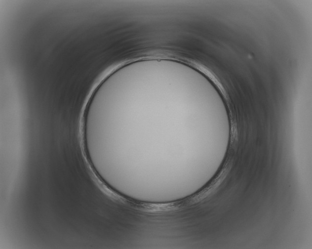 X0000112431482200908211150