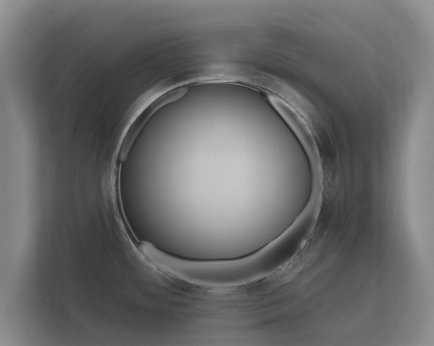 X0000112431484200908211150