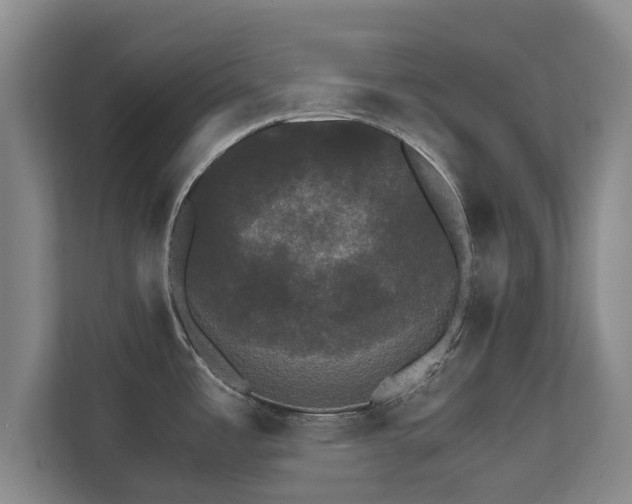 X0000112431485200908211150