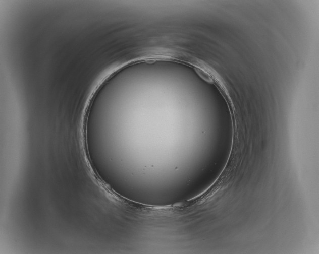 X0000112431488200908211150