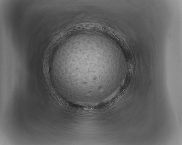 X0000112431489200908211150
