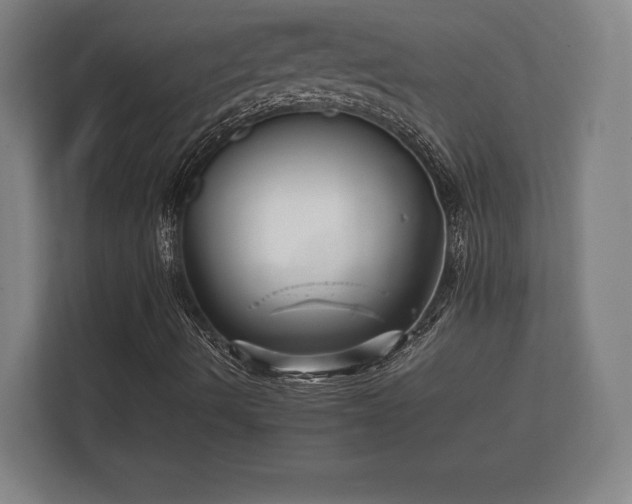 X0000112431490200908211150