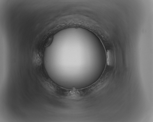X0000112431491200908211150