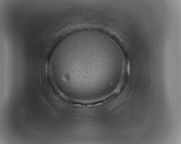 X0000112431492200908211150