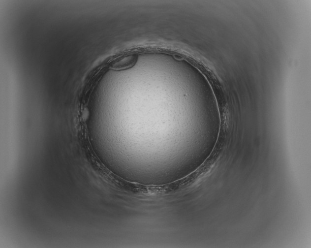 X0000112431494200908211150