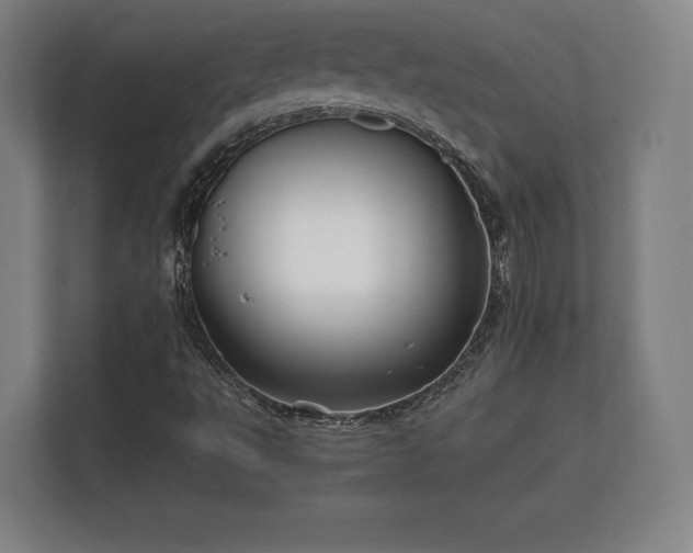 X0000112431495200908211150