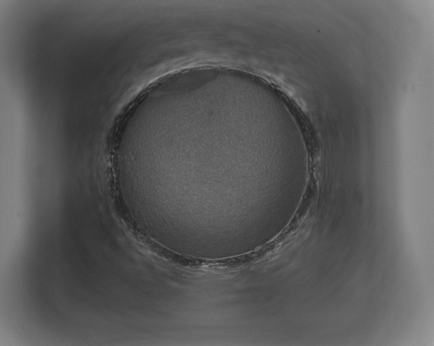 X0000112431496200908211150