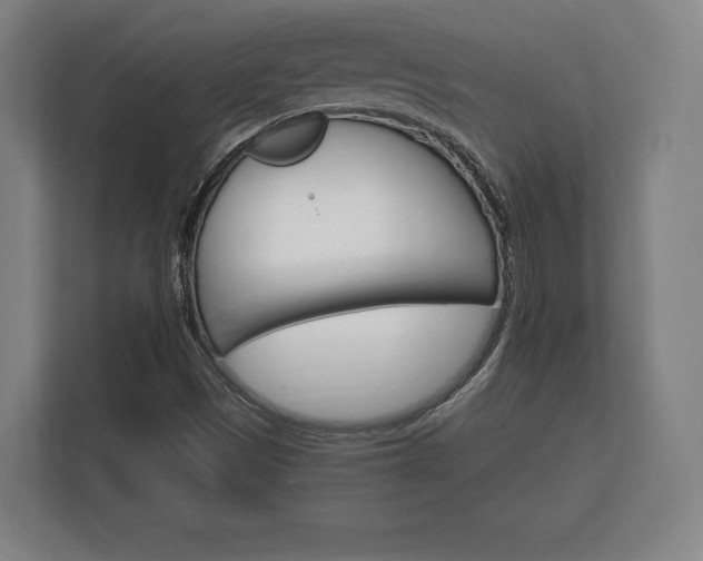 X0000112431497200908211150