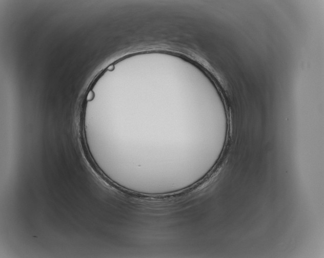 X0000112431500200908211150