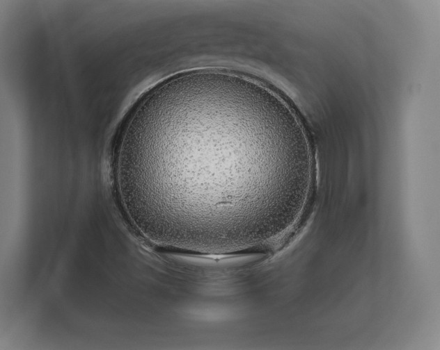 X0000112431501200908211150