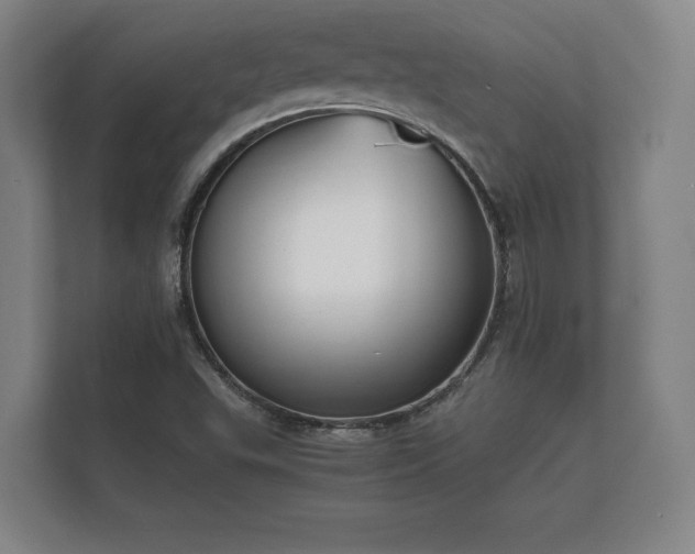 X0000112431503200908211150