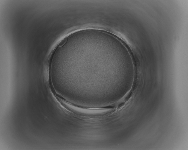 X0000112431504200908211150