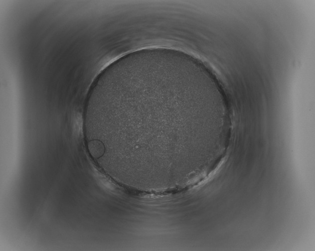 X0000112431505200908211150