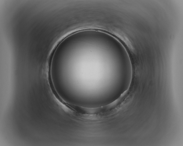X0000112431508200908211150