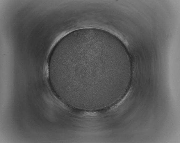 X0000112431509200908211150