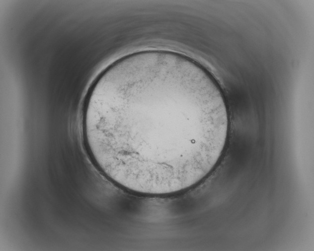X0000112431514200908211150