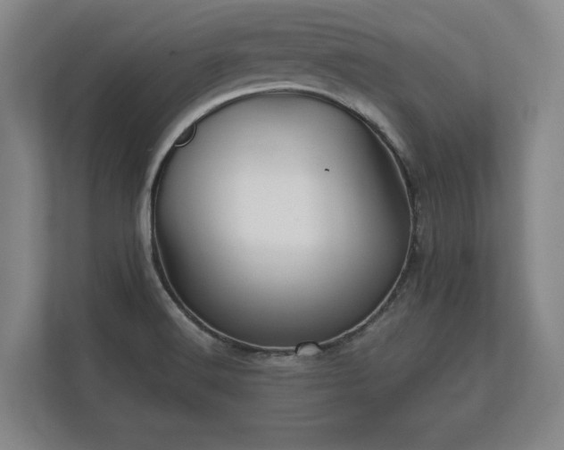 X0000112431516200908211150