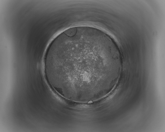 X0000112431517200908211150