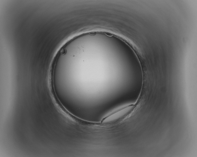 X0000112431518200908211150