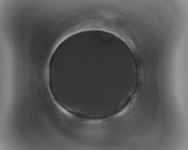 X0000112431519200908211150
