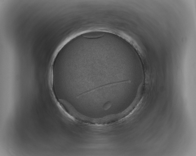 X0000112431520200908211150