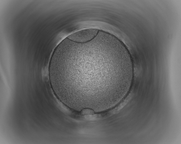 X0000112431521200908211150