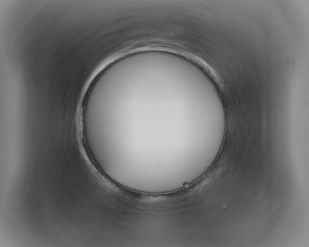 X0000112431522200908211150