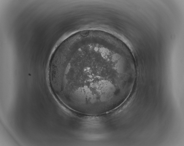 X0000112431525200908211150