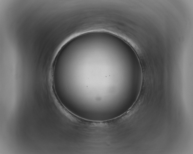 X0000112431526200908211150