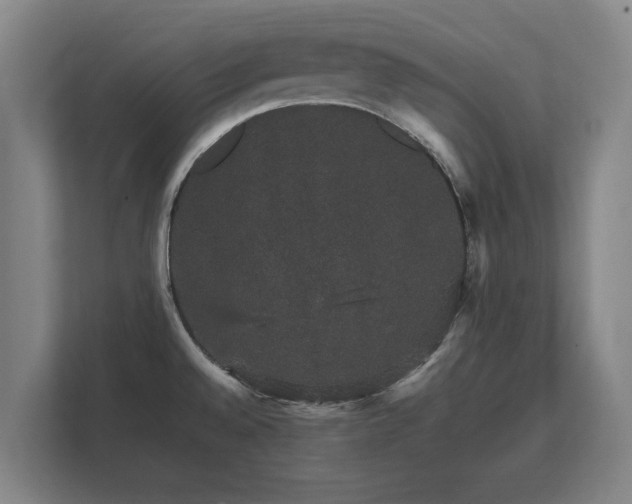 X0000112431528200908211150