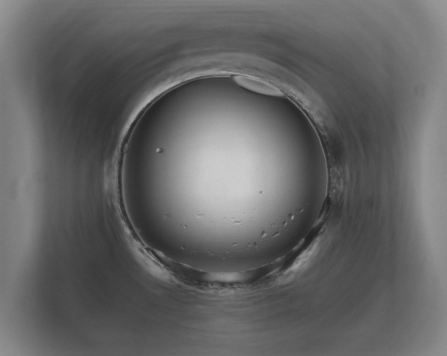 X0000112431530200908211150