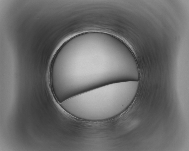 X0000112431531200908211150