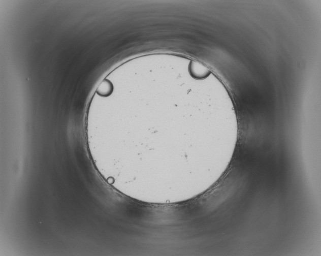 X0000112431532200908211150