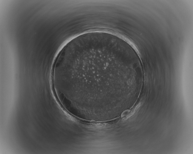X0000112431533200908211150