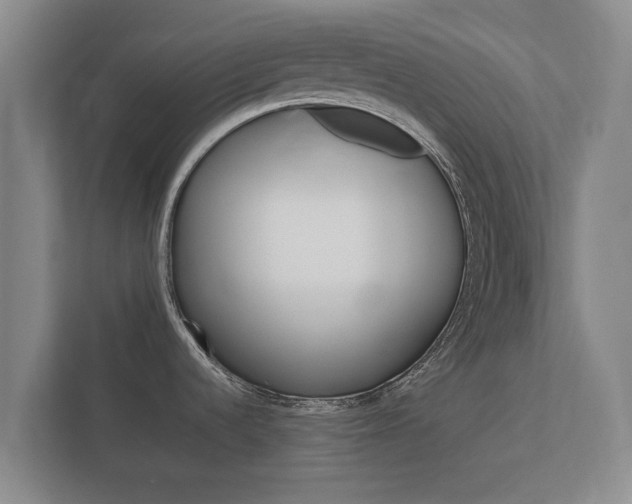 X0000112431536200908211150