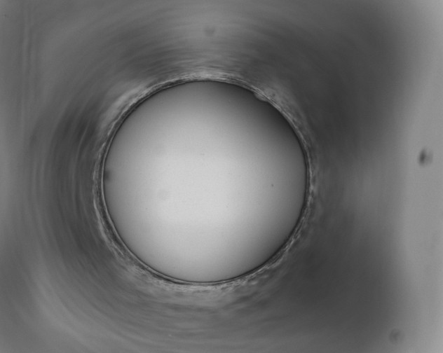 X0000112430001200908281913