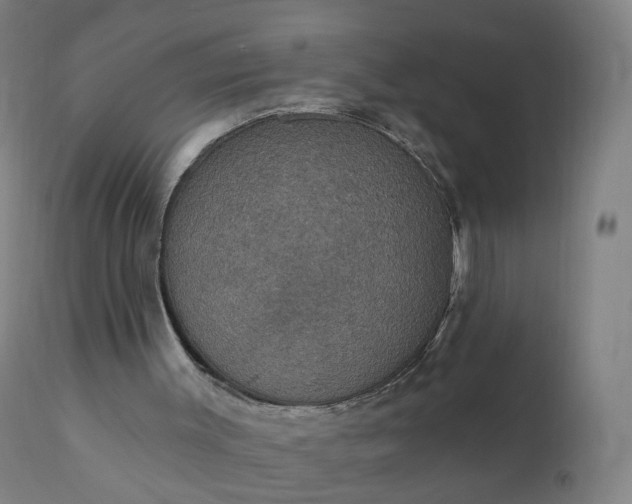 X0000112430003200908281913