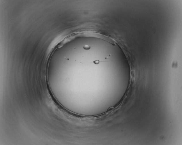 X0000112430004200908281913